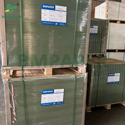 1.2mm 800g Green Lacquered Carton For Folders 720 X 1030mm Khẳng cứng