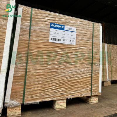 Bảng bìa thực phẩm phủ màu trắng 325gm 350gm Bao bì thực phẩm an toàn