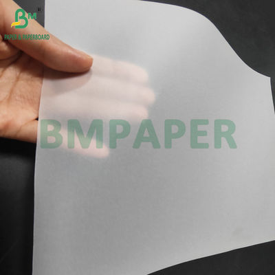 93gsm Bảng giấy trắng trong suốt để bọc hoa 60 x 85cm Đèn