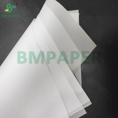 93gsm Bảng giấy trắng trong suốt để bọc hoa 60 x 85cm Đèn