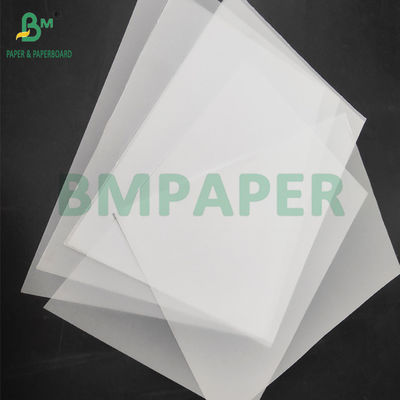 93gsm Bảng giấy trắng trong suốt để bọc hoa 60 x 85cm Đèn