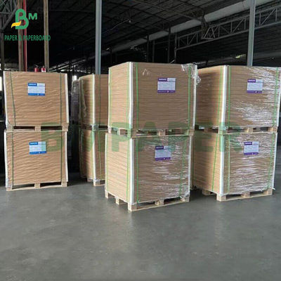 93gsm Bảng giấy trắng trong suốt để bọc hoa 60 x 85cm Đèn