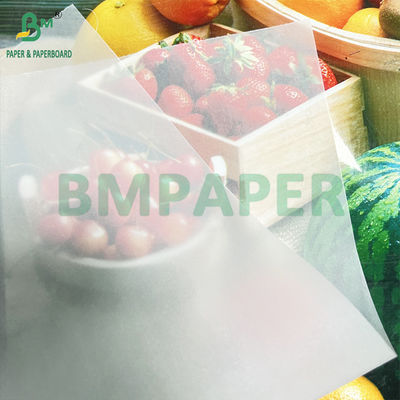 65 95 GSM Hình vẽ màu trắng tự nhiên có độ mờ thấp Bảng giấy theo dõi 8,5 x 11 inch