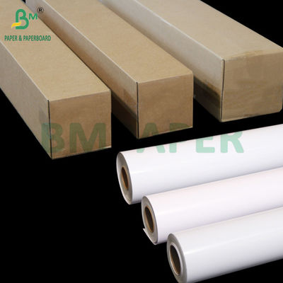 250g 260g RC Satin Inkjet Photo Paper Roll Pigment Ink 24 inch 44 inch x 100ft