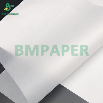 100gm Xếp vẽ giấy xuyên suốt cho thẻ sách 24' x 36' chống nước mắt