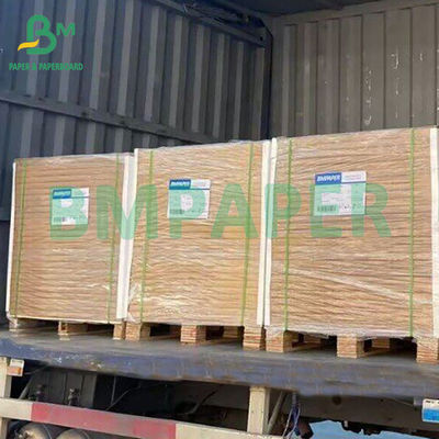 80gm 60gm in tốt giấy Offset màu sắc cho ghi chú dán