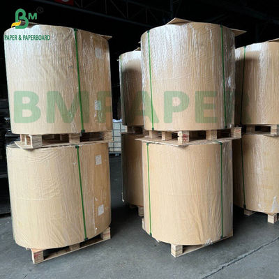 Giấy vỏ khay thực phẩm lớp 3 35gm 40gm giấy chống mỡ