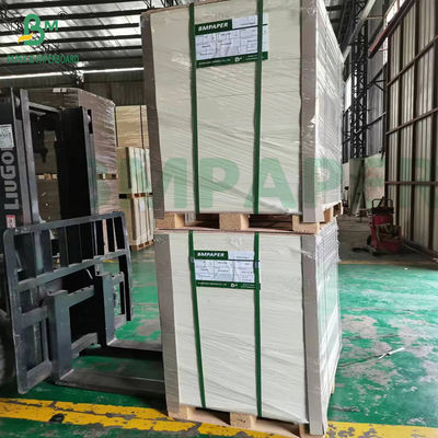 Bảng thảm bia hấp thụ lớn không phủ màu trắng tự nhiên 700um