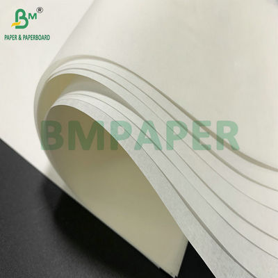 600mm Roll Width 25gsm 30gsm giấy kraft trắng cho giấy nướng bánh