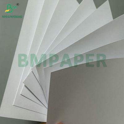 Chất liệu có độ mịn tuyệt vời 100g 120g giấy không phủ gỗ cho in Offset 71cm cuộn