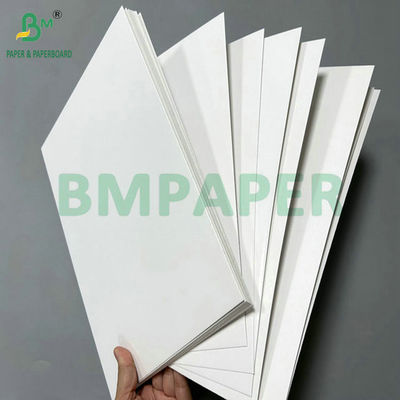 250 gram 300 gram SBS Solid Bleach Sulphate được phủ một bên cho bao bì Carton 70 x 100cm