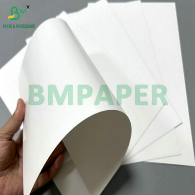 250 gram 300 gram SBS Solid Bleach Sulphate được phủ một bên cho bao bì Carton 70 x 100cm