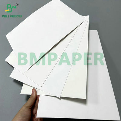 250 gram 300 gram SBS Solid Bleach Sulphate được phủ một bên cho bao bì Carton 70 x 100cm