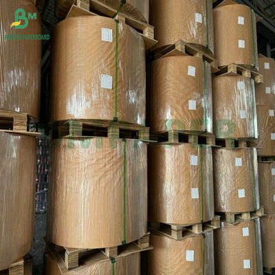 250 gram 300 gram SBS Solid Bleach Sulphate được phủ một bên cho bao bì Carton 70 x 100cm
