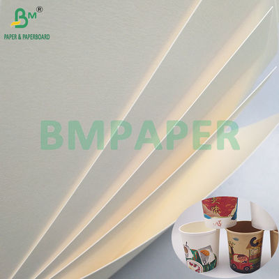 260gsm + 18PE Bảng giấy chống dầu thực phẩm phủ mat để sản xuất ly và bát giấy dùng một lần