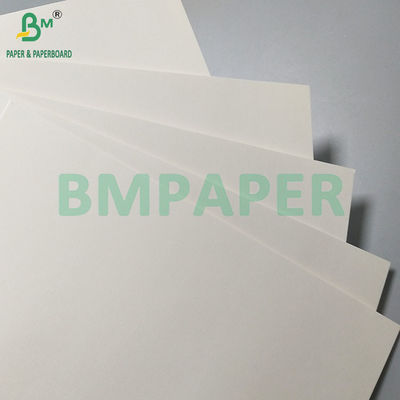260gsm + 18PE Bảng giấy chống dầu thực phẩm phủ mat để sản xuất ly và bát giấy dùng một lần