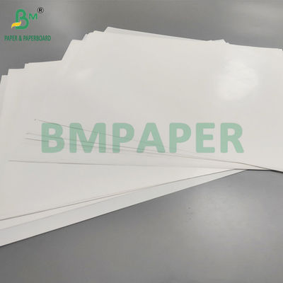 70gsm Một mặt phủ C1S giấy nhãn chống ướt cho bia chống nước