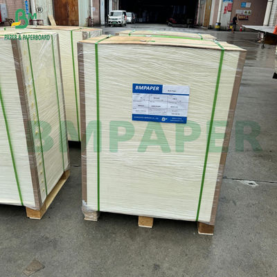 Giấy vải vải vải PE phù hợp cho đồ uống thực phẩm nóng và lạnh