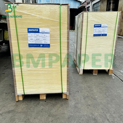 Giấy vải vải vải PE phù hợp cho đồ uống thực phẩm nóng và lạnh