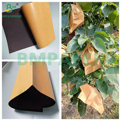 56gm Brown And Black Fruit Mango Thẻ bảo vệ giấy cuộn