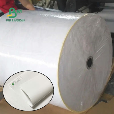 55gm 790mm 795mm biên lai giấy nhiệt Jumbo Roll