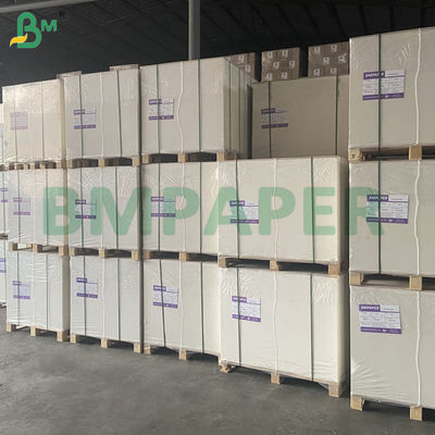 240g Bảng giấy Cup trắng 100% gỗ và không phủ cho Cup