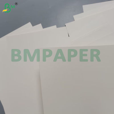240g Bảng giấy Cup trắng 100% gỗ và không phủ cho Cup
