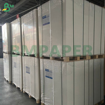 240g Bảng giấy Cup trắng 100% gỗ và không phủ cho Cup
