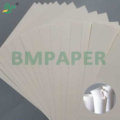 240g Bảng giấy Cup trắng 100% gỗ và không phủ cho Cup