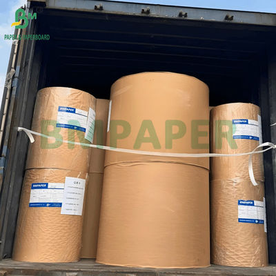 50gm giấy lọc cà phê trắng tẩy để tách chất rắn khỏi chất lỏng