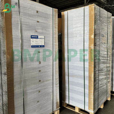 Bảng giấy hấp thụ nước 1 - 3mm thân thiện với môi trường
