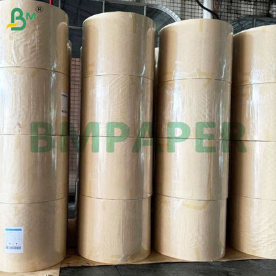 135-350gm Hai mặt mịn PE phủ Cup Bảng giấy