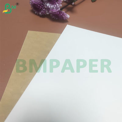 135-350 GSM Nhựa giấy chứa thực phẩm cứng cao