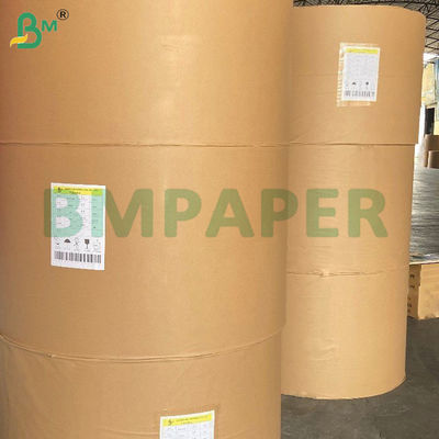 210g + 15g PE phủ giấy chén loại thực phẩm giấy gỗ nguyên thủy