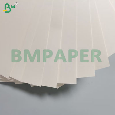 180g + 15g PE Cup Stock Paper Signle Side Coated Board Không thấm nước chống gấp cao