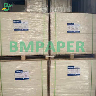 Bảng giấy bếp silicone chống mỡ loại thực phẩm hai mặt phủ