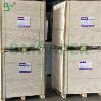 360g + 20g Xanh một mặt PE phủ vỏ Cup Base giấy chất lượng thực phẩm