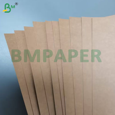 360g + 20g Xanh một mặt PE phủ vỏ Cup Base giấy chất lượng thực phẩm