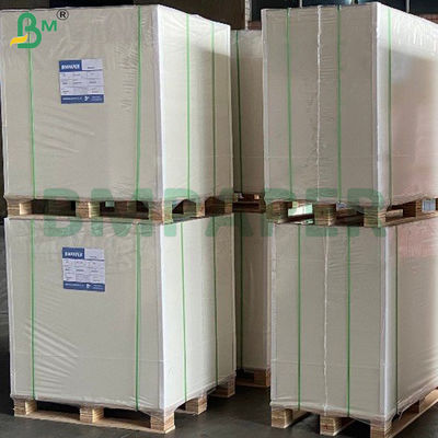 310gm giấy lõi xanh hai mặt phủ tấm bìa bóng