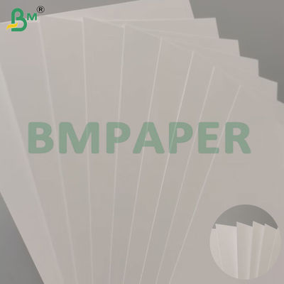 310gm giấy lõi xanh hai mặt phủ tấm bìa bóng