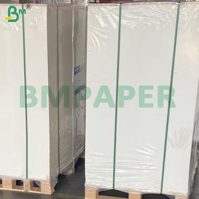 350g Bảng chứa phủ C1S Thẻ bột gỗ nguyên thủy chất lượng thực phẩm