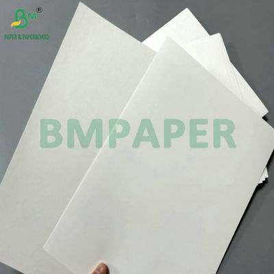 300g 350g White Coated Folding Carton Board cho in cao cấp 65 X 90cm