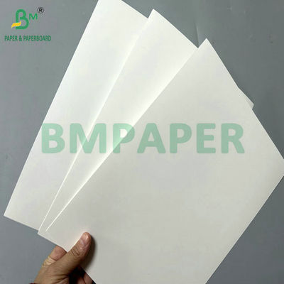 300g 350g White Coated Folding Carton Board cho in cao cấp 65 X 90cm