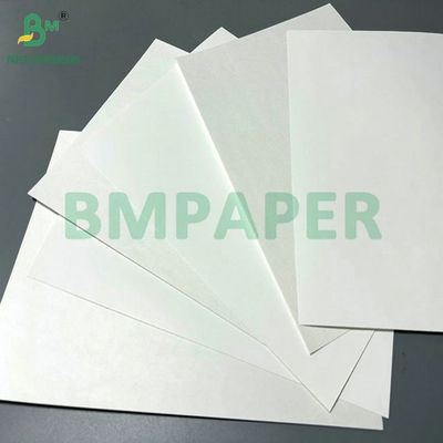 300g 350g White Coated Folding Carton Board cho in cao cấp 65 X 90cm
