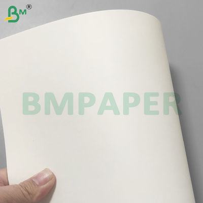 PE ốp chống rò rỉ Cup Stock giấy cuộn cho uống 190gsm + 10gsm
