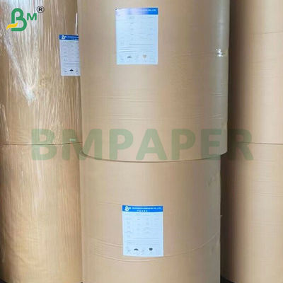 PE ốp chống rò rỉ Cup Stock giấy cuộn cho uống 190gsm + 10gsm