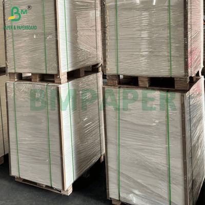 250gm 275gm + 15g PE phủ một mặt Bảng giấy chất lượng thực phẩm cho bao bì thực phẩm đông lạnh 740x1060mm