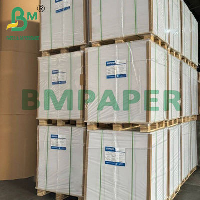 210g + 15g hai mặt PE phủ giấy chén Stock Board Food Grade Sheets