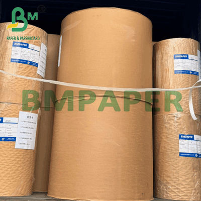 220g + 20g PE phủ giấy chén 100% gỗ nguyên chất bột giấy bảo vệ thực phẩm