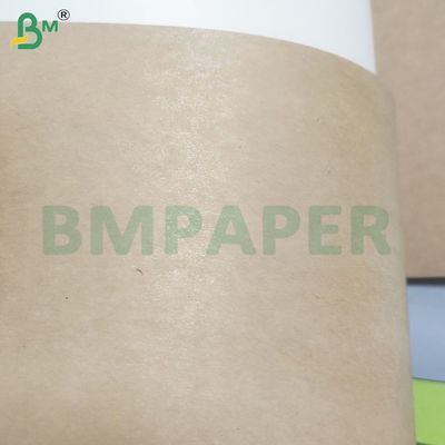 Bảng giấy chứa thực phẩm chống rò rỉ có độ cứng cao PE